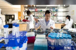 Preventing the Next Pandemic