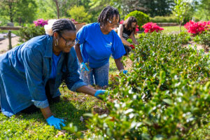 Volunteers for GSU Cares at the Oakland Cemetery