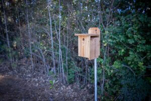 Bird Box Project at Perimeter College Gives Songbird a Place to Nest