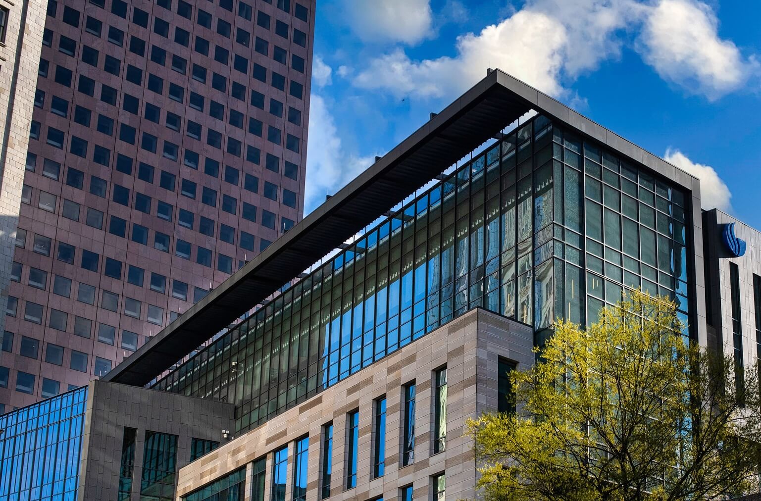 New faculty at the College of Law will teach legal technology, generative artificial intelligence, constitutional law, corporate law, anti-discrimination law, health law and environmental law.