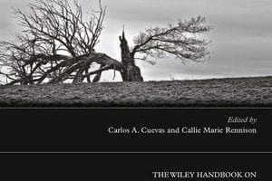 Impact of Intimate Partner Violence in College Examined in New Handbook