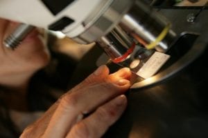 Georgia State Researcher Receives $7.7 Million Federal Grant To Study West Nile And Zika Viruses
