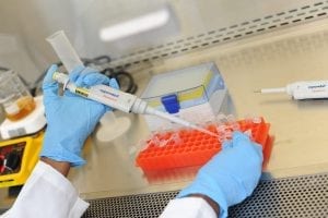 Amino Acid Transporter May Offer Lung Cancer Patients New Hope