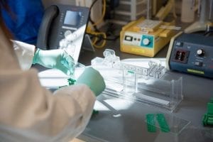 Georgia State University’s IBMS Director Appointed To National Institutes Of Health Council Of Councils