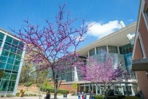 Perimeter Nursing Program Joins School of Nursing