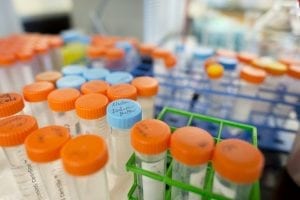 Neuroscience Researcher Gets $1 Million To Study Visual Pathways Across Species