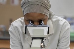 Summer Bridge Offers Students a Taste of Research
