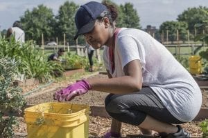 MLK Day Projects Planned for Decatur Campus
