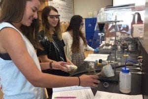 Students Opt for Summer Classes to Get Ahead