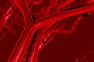 Brett Wong Receives $1.5 Million NIH Grant To Study Nerve Function