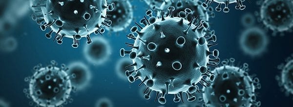 influenza virus
