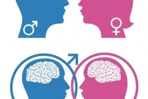 Georgia State Study Reveals The Brain Regulates Social Behavior Differently In Males And Females