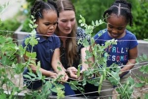 Nutrition Graduate Student Brings Farm to Preschool