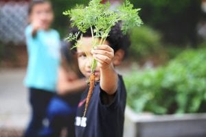Nutrition Interns Help Little Ones Enjoy Healthy Food