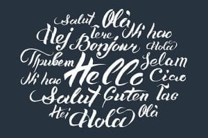 Lost in Translation: Preparing Teachers for Multilingual Classrooms