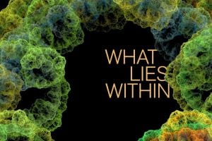 What Lies Within