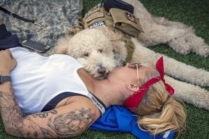 Service Dogs May Reduce Suicidal Impulses, Stress Among Veterans