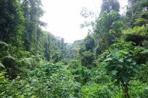 Geographer Receives Grant to Examine the Role of Moisture Transport in Rainfall Variability and Agricultural Decision Making in Africa