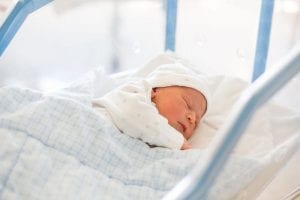 Study: Cesarean-Born Mice Show Altered Patterns Of Brain Development