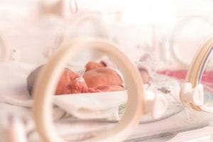 Early-Life Pain May Lead To Obesity Risk, Especially In Females, Neuroscience Institute Study Finds
