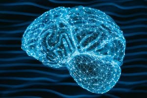 Georgia State Researcher Receives $1.3 Million to Study Causal Relationships in the Brain