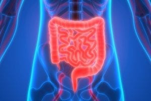 New Cytokine Network Can Repair Tissue Damage In The Intestine, Study Finds