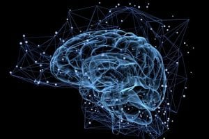 Georgia State Scientists Work to Transform Neuroimaging Research