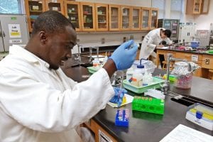 Students Perform Research in Summer Bridge Program
