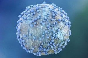 Georgia State Spinoff Gets $2 Million To Advance New Cancer Drug