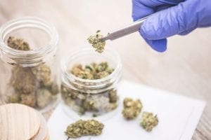 Medical Marijuana Laws Reduced Alcohol Consumption