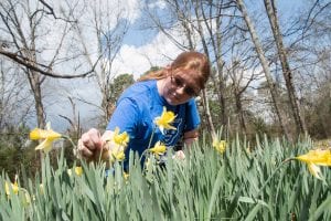 Daffodil Festival at Newton Campus, March 7-8