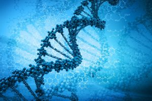 Neuroscientists Receive Grant To Develop State-Of-The-Art Genome Engineering Technologies