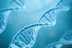 Researchers Make Discoveries About Key Enzyme In DNA Repair