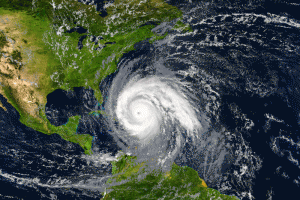 Early-Season Hurricanes Result In Greater Transmission Of Mosquito-Borne Infectious Disease, Study Shows