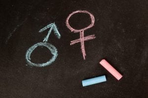 Study: Females Find Social Interactions To Be More Rewarding Than Males