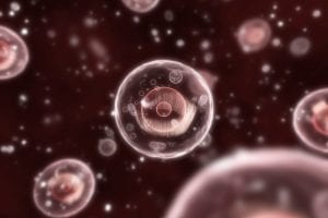 Georgia State Scientists Develop New Sensor to Capture Calcium Activity in Cells