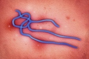 Georgia State to Lead Training for Protecting Healthcare Providers from Ebola, Other Viral Threats