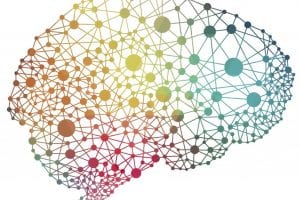 Imagery an Effective Way to Enhance Memory, Reduce False Memories, Psychology Study Finds