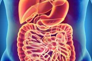 Early-Life Exposure To Microbiota Restricts Colon Cancer Later In Life, Study Finds