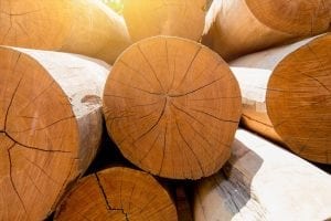 Saving endangered trees from the sawmill