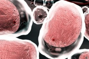 Nanoparticles Show Promise for Treating Intestinal Inflammation, Biomedical Research Study Finds