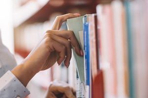 Faculty Publications, November 2017