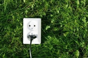 Photosynthesis Discovery Could Help Design More Efficient Solar Cells