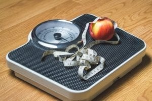 Researcher Gets Nearly $3 Million To Study Mechanisms That Cause Obesity