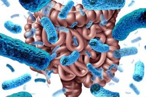 Biomedical Sciences Researchers Find Fecal Marker Could Help Diagnose Early Signs of Chronic Gut Conditions