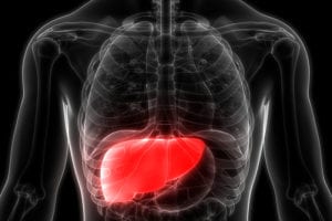 Researchers Led By Georgia State Develop Noninvasive Method To Detect Early-Stage Liver Disease