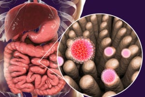 Biomedical Sciences Researchers Isolate Gut Bacteria That Can Prevent And Cure Rotavirus Infection