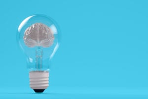 Study Offers New Insight into Brain Connectivity