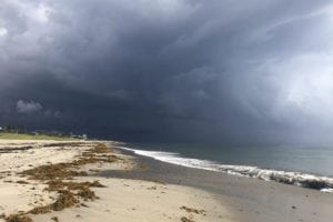 Politics Overrule Science in At-Risk Coastal Residents’ Public Attitudes about Climate Change