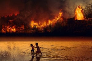 Forest Fire: An update on the Amazon wildfires